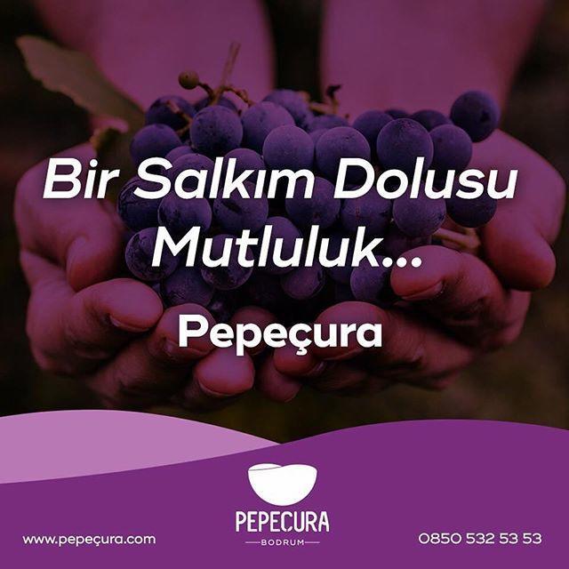 Pepecura Bodrum Esterno foto