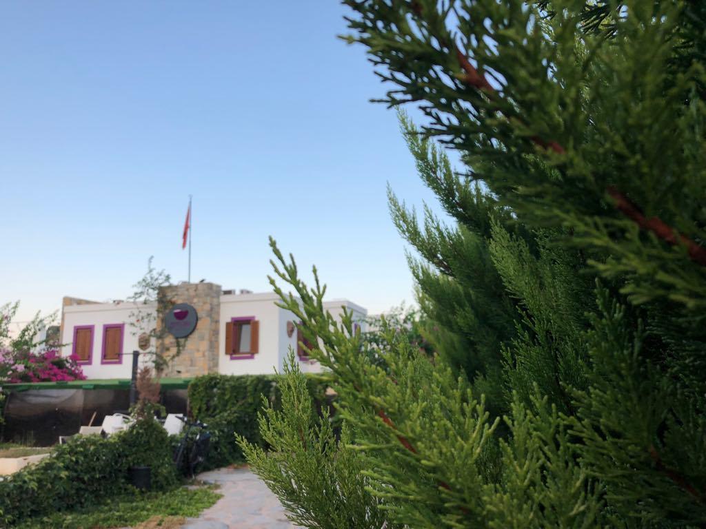 Pepecura Bodrum Esterno foto